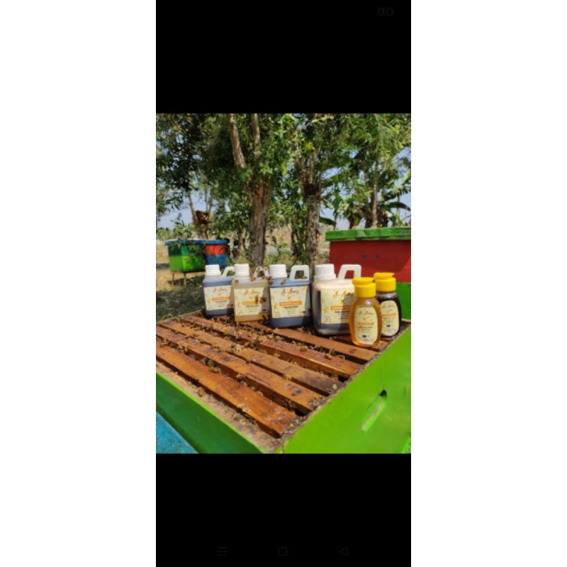 

MADU MURNI ALAMI MULTIFLORA AKASIA CARVA KELANCENG MAHONI MURNI MADU 100% PURE RAW HONEY FULL POLLEN