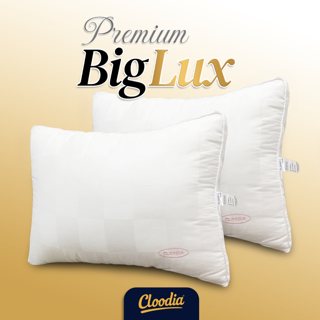 Paket Bantal Premium BigLux - Bantal Hotel Bintang 5 Bantal Jumbo Bantal Hotel Bulu Angsa Bantal Hot