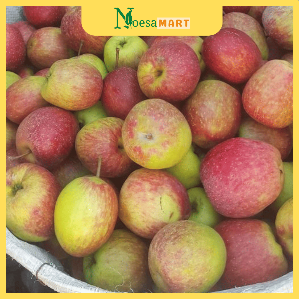 

BERGARANSI! Apel Anna Malang Fresh 1kg, 5kg, dan 10kg