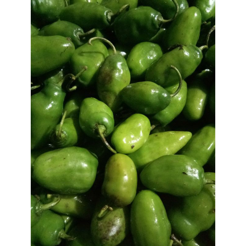 

bendot super