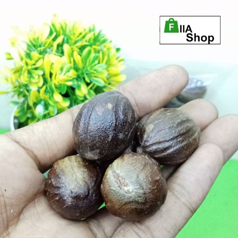 

Bumbu dapur biji pala 100 gr / promo biji pala