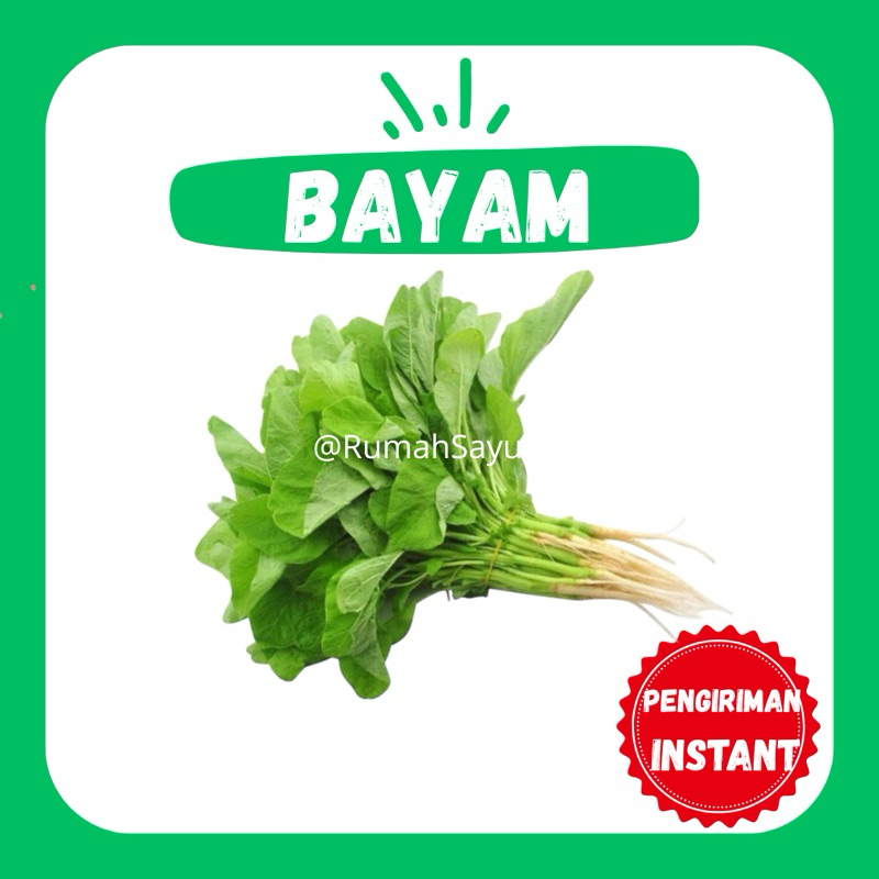 

[KIRIM INSTANT] BAYAM 1 ikat - RUMAH SAYUR