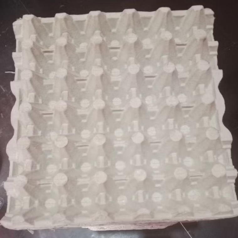 TRAY TELUR / TEMPAT TELUR KARTON BEKAS