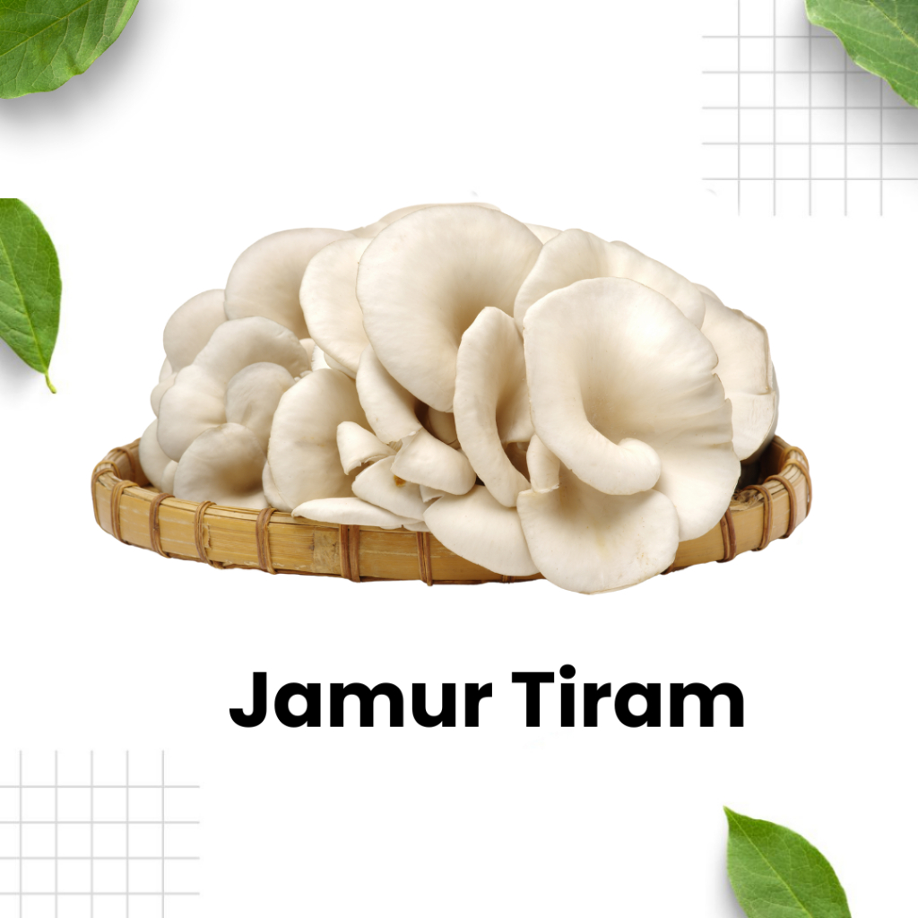 

Jamur Tiram 250gram / jamur / rempah / bahan masak / sayur / Sidoarjo Surabaya