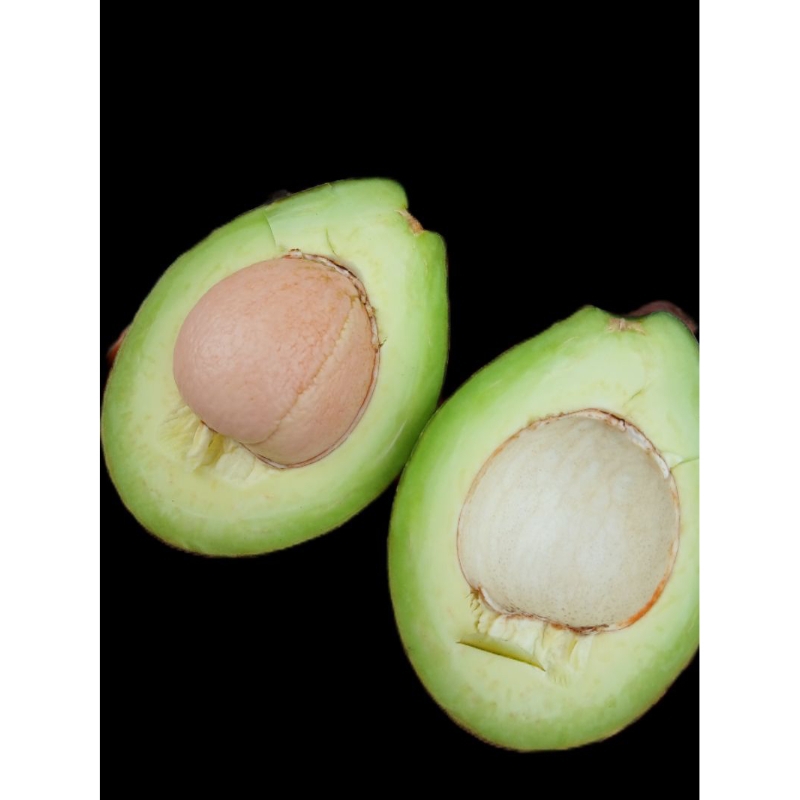 

Alpukat mentega samosir