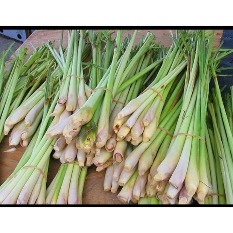 

serai segar baru 500gr