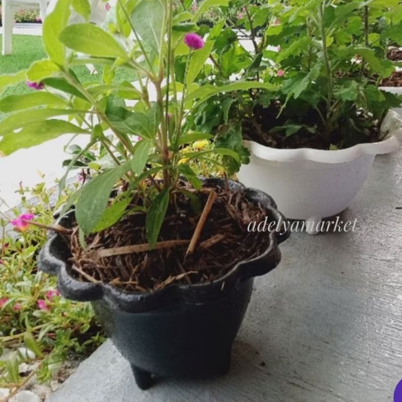 New 6 pc Pot kaki 22 / pot plastik 728 T