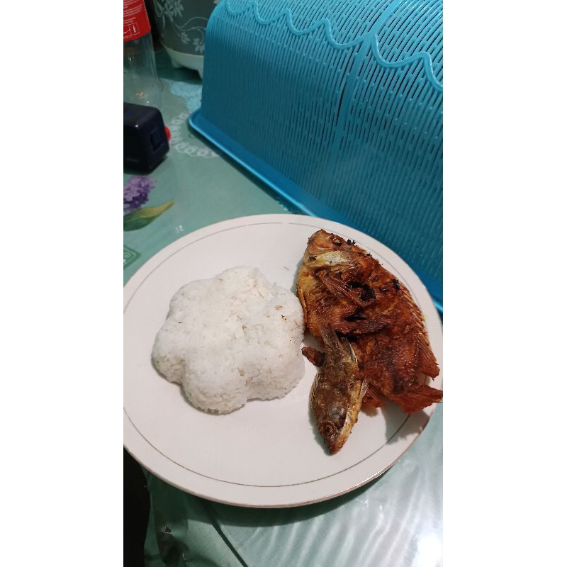 

makanan sehat 5 sempurna