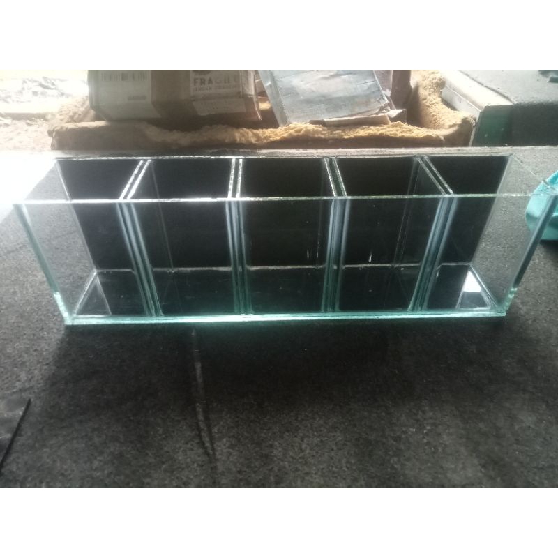Akarium soliter cupang sekat 5 besar background kaca hitam ukuran 50x10x15