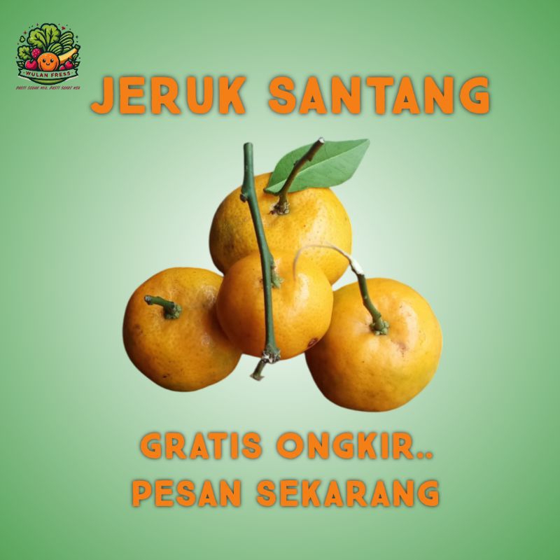 

JERUK SANTANG