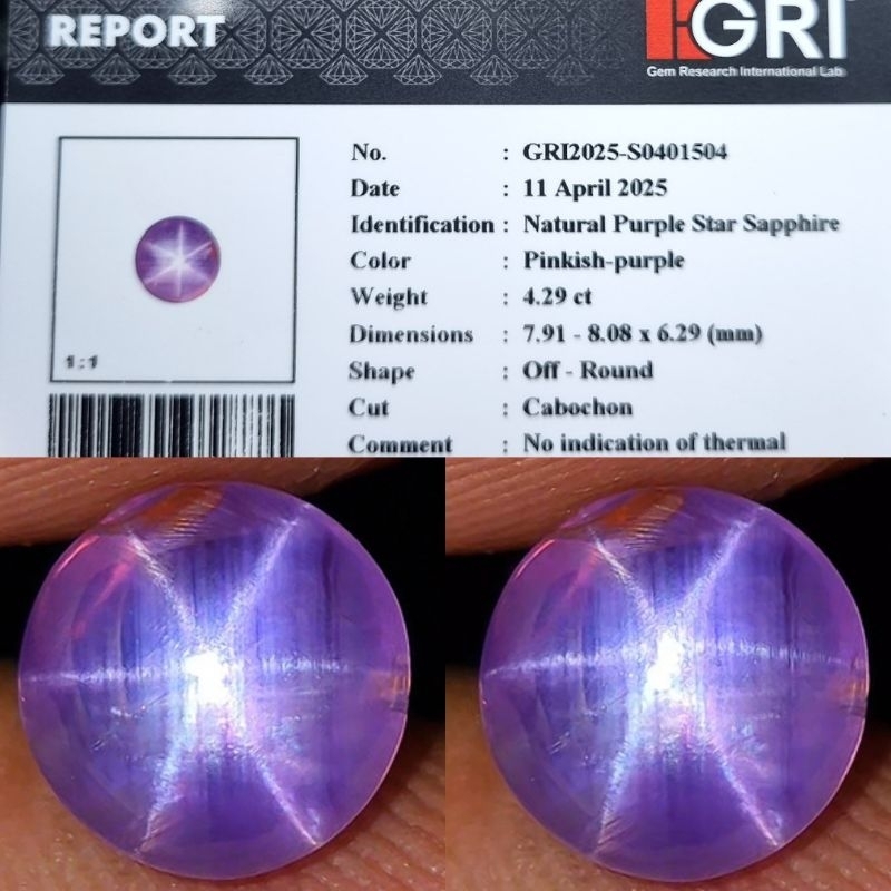 Natural Star Purple Sapphire Ceylon Srilanka Mata Udang Top HQ Tajam spider payung memo GRI lab