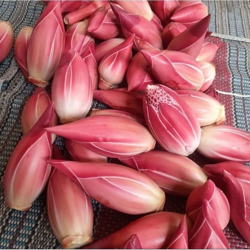 

Bunga kecombrang merah segar 500 grm