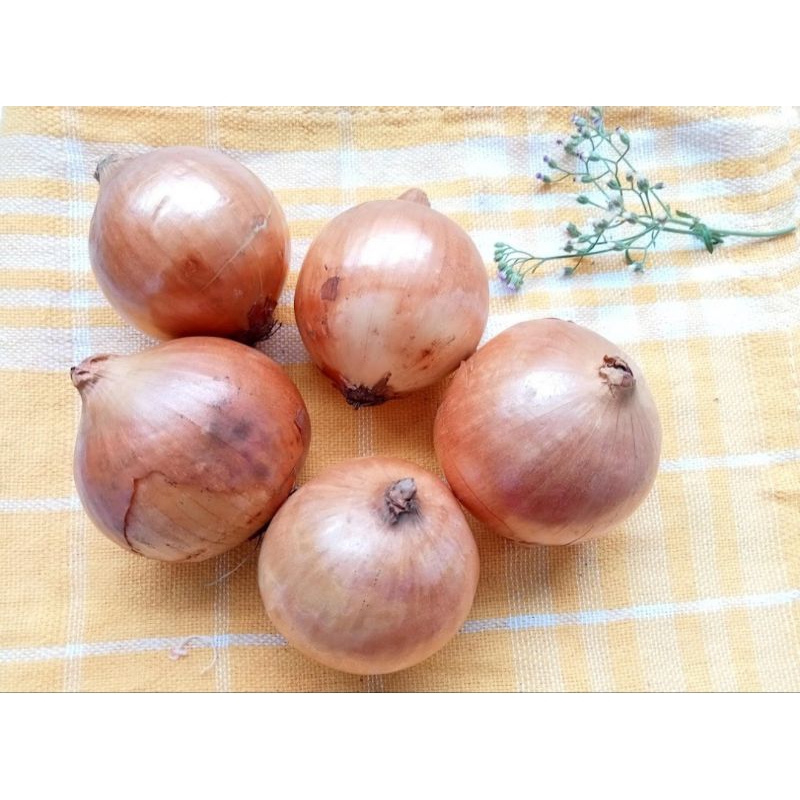 

bawang bombay