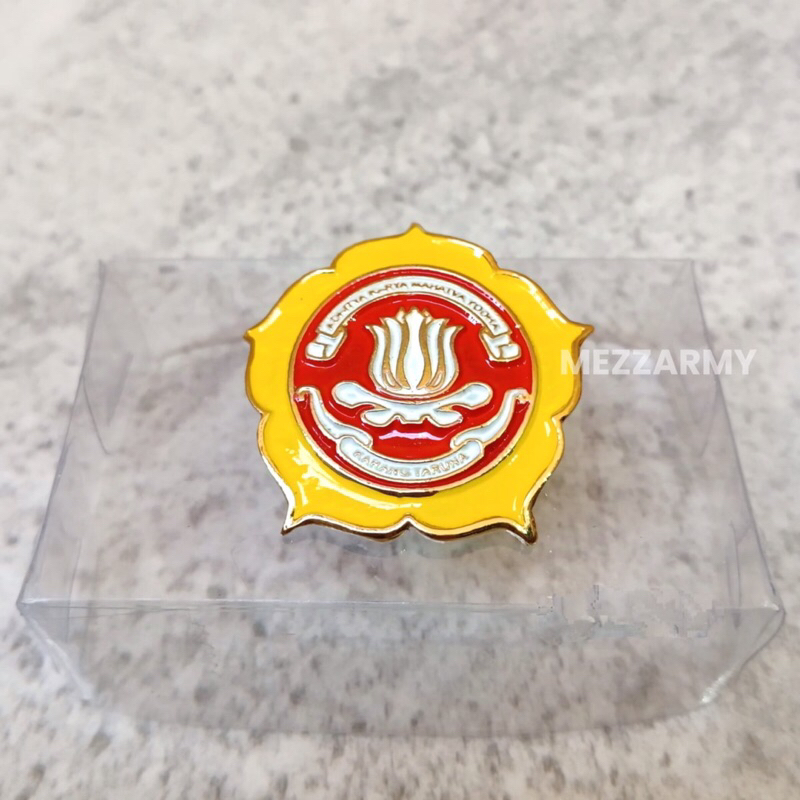 PIN KARANG TARUNA
