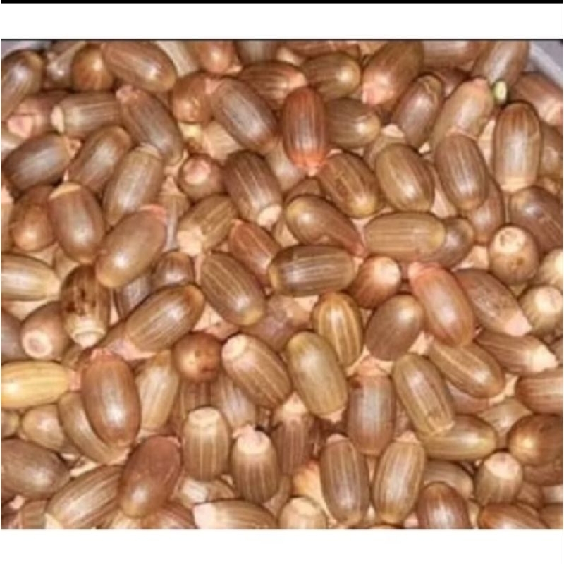 

1kg biji melinjo kupas tanpa kulit baru metik