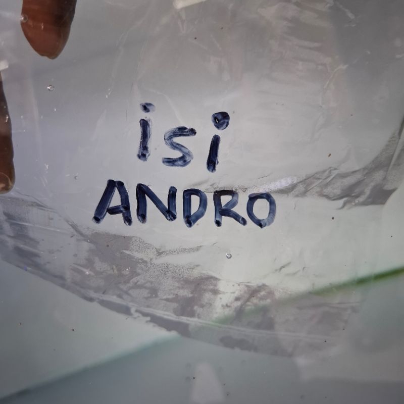 

minyak kelapa klentik coklat kemasan biru 230ml (and)ro