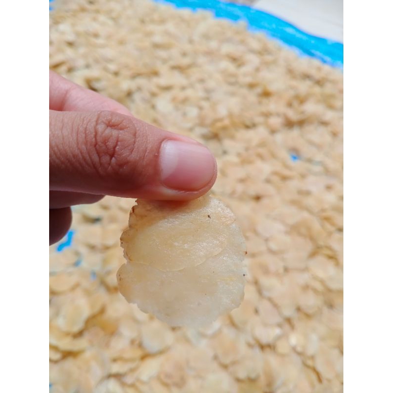 

Emping Melinjo Ukuran Satu dan Dua 1 Kg Bersih lebih