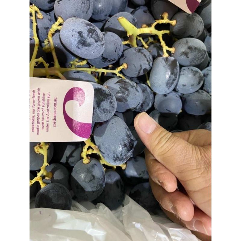 

Anggur ADORA aust cordoma jumbo/kg
