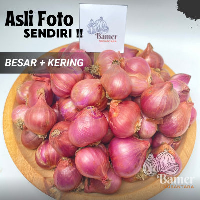 

Bawang Merah Bamer Kering 500 Gram 1 KG Termurah Super Lokal Nganjuk Besar Jumbo Untuk Bawang Goreng Murah 500 250 Gram 1/2 1/4 Kg Kediri