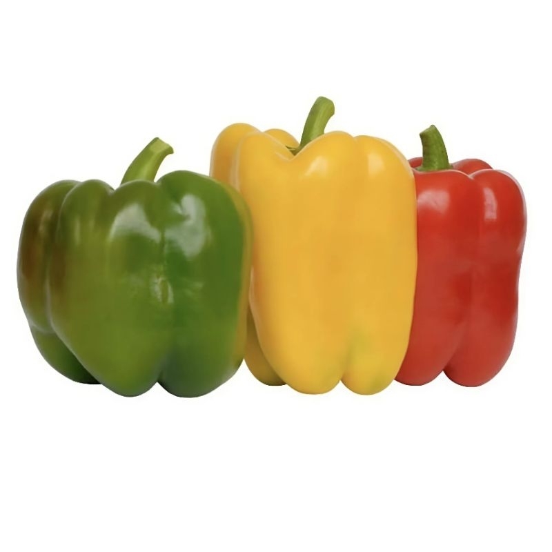 

Paprika Warna Campur 1 Buah