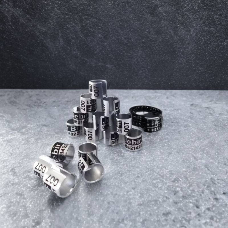 Ring Burung Model BAJA BELAH (Merpati Dewasa)