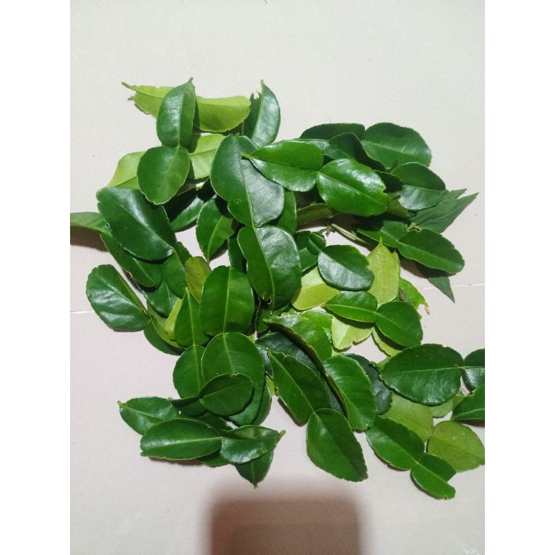 

Daun Jeruk Purut / Bumbu Masak