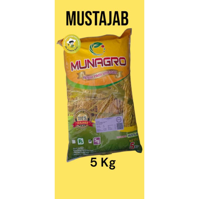 Benih padi Mustajab Munagro 5Kg