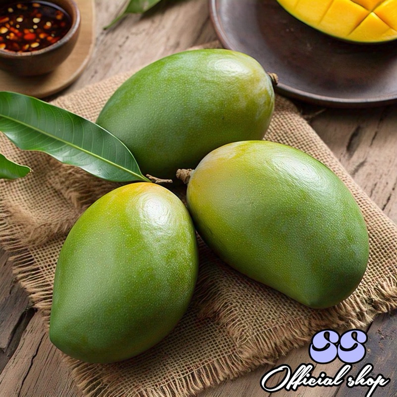 

mangga muda 1 kg segar murah