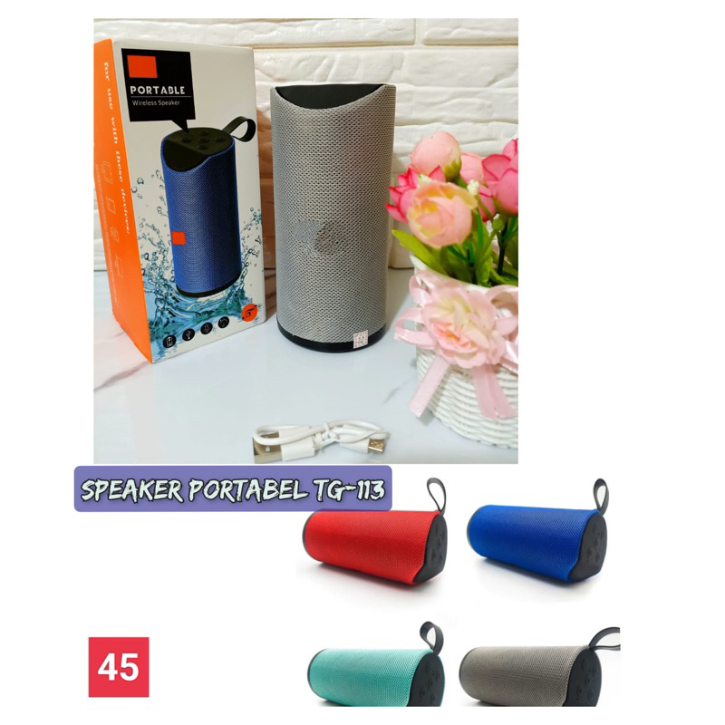 SPEAKER BLUETOOTH PORTABEL/TG113