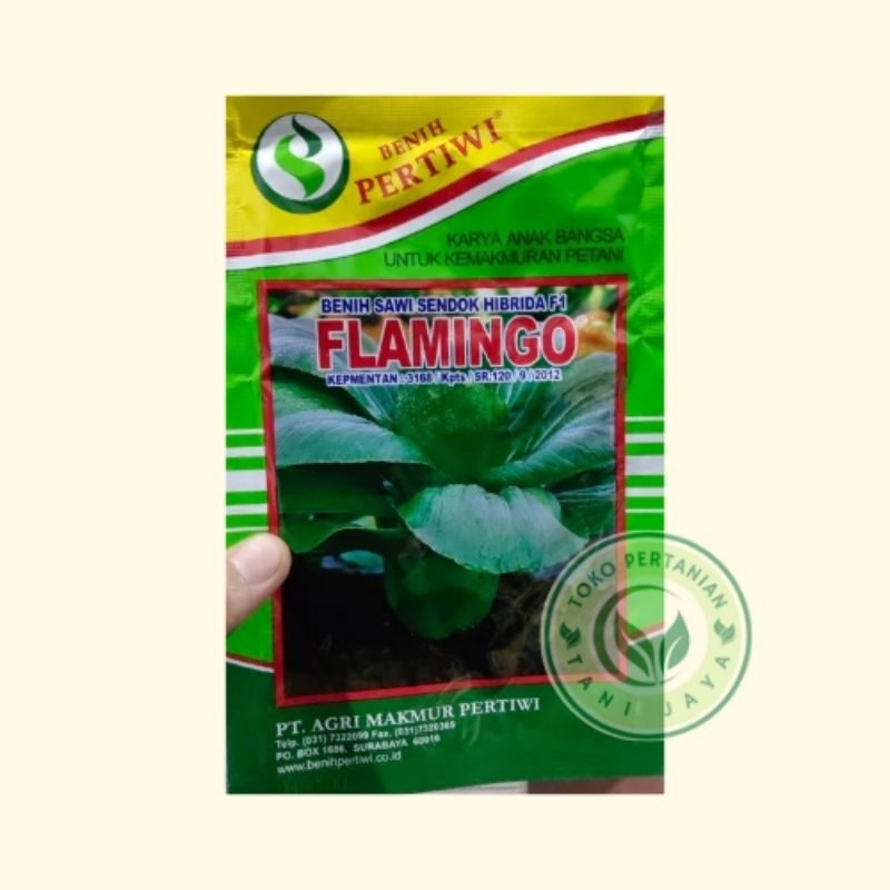 BENIH FLAMINGGO SAWI DAGING HIBRIDA F1 PAKCOY PERTIWI