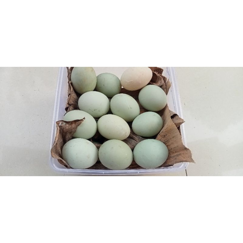 

Telur Asin Maseer