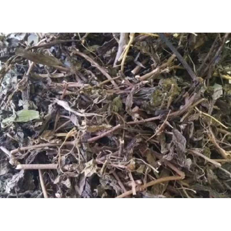 

KUMIS KUCING/AKAR ALANG2/BENALU TEH KERING/SECANG SERUT/PEGAGAN/SAMBILOTO KERING