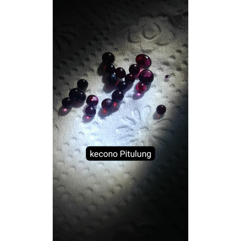 Mustika Jenis Mustika lipan rubahh