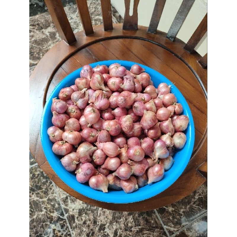 

Bawang Merah Thailand Super 1kg
