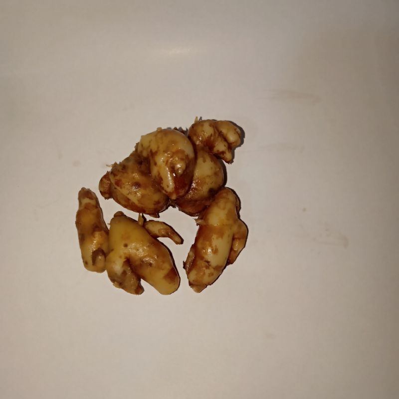 

kencur organik segar | bumbu seblak | bumbu masak