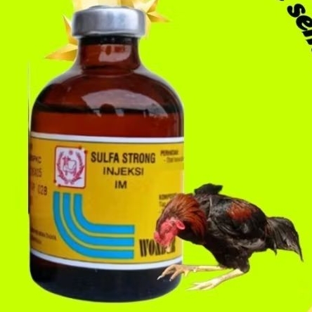 injeksi sulfa strong obat ayam sakit crd nd kotoran hijau putih ngorok bengkak by wonder