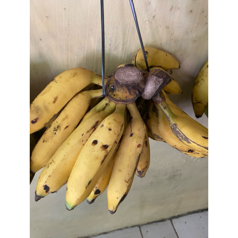 

pisang uli 2sisir
