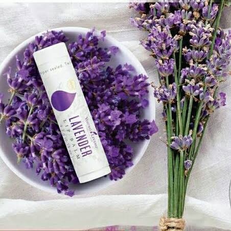 Lavender Lip Balm Young Living Pelembab Bibir 4.2g