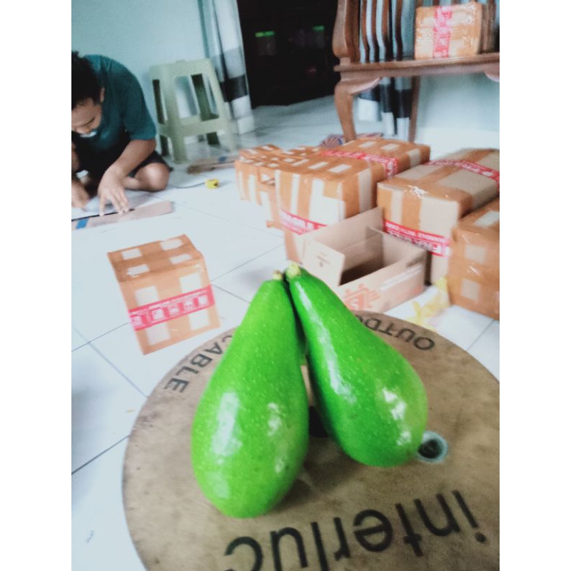

alpukat muria 1 kg isi 4-5 buah
