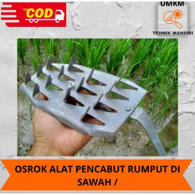 Osrok Padi / Alat Matun Termurah