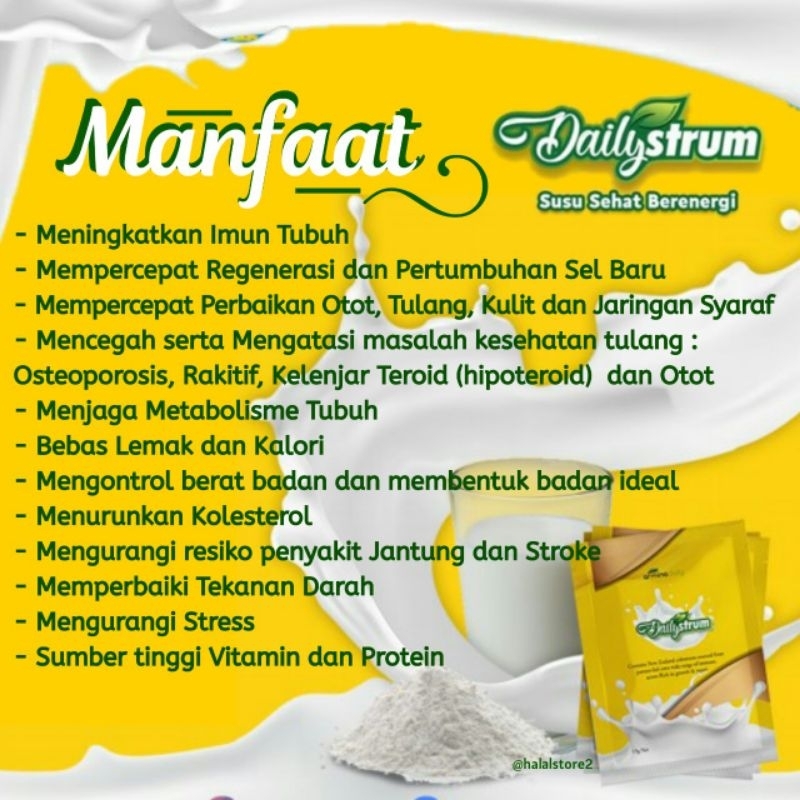 

susu Dailystrum
