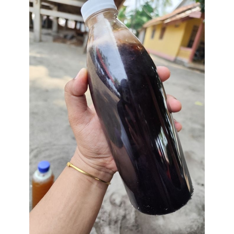 

Madu Hitam Asli Hitan Liar Sumbawa