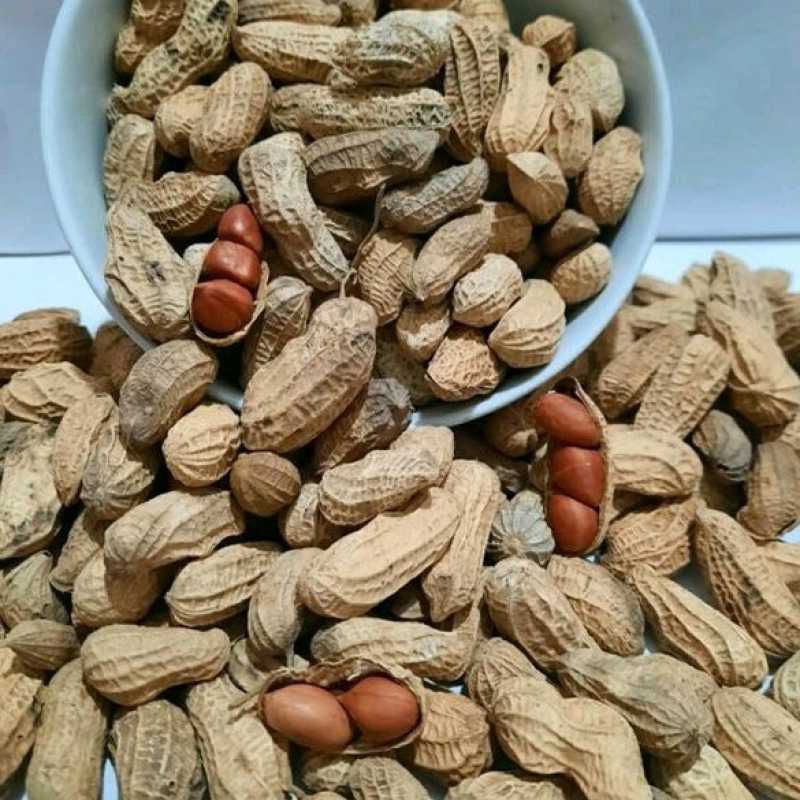 

Kacang Tanah Sangrai Kulit Diskon Super Murah Bisa (COD) Bayar Ditempat