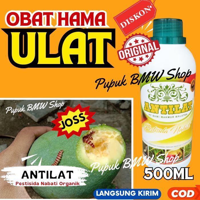 PESTISIDA ORGANIK ANTILAT, Obat Hama Lalat Buah, Walang Sangit,Kutu Putih/Kebul Untuk Segala Tanaman