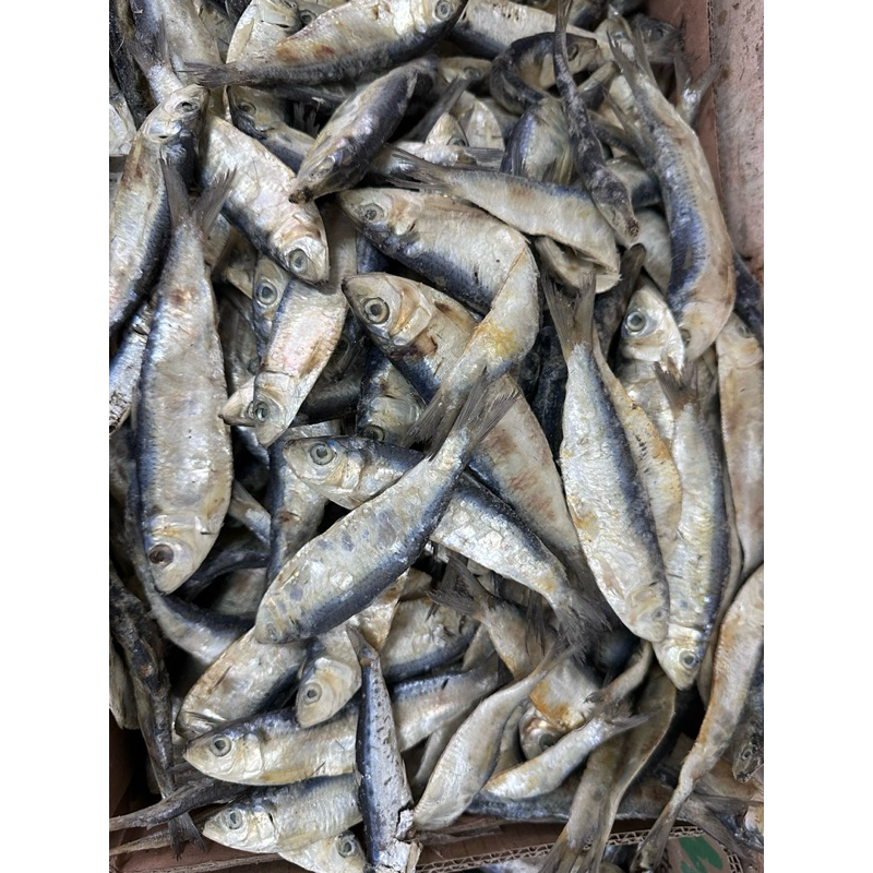 

Tembang Asin 250gram 500gram