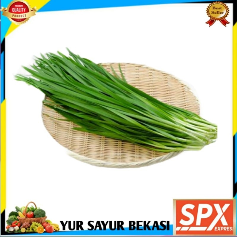 

Kucai Segaarr Per ikat