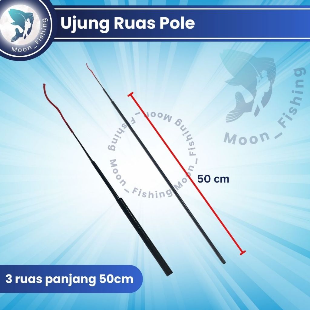 Ujung ruas Pole Panjang Pucuk Tegek 3 Ruas