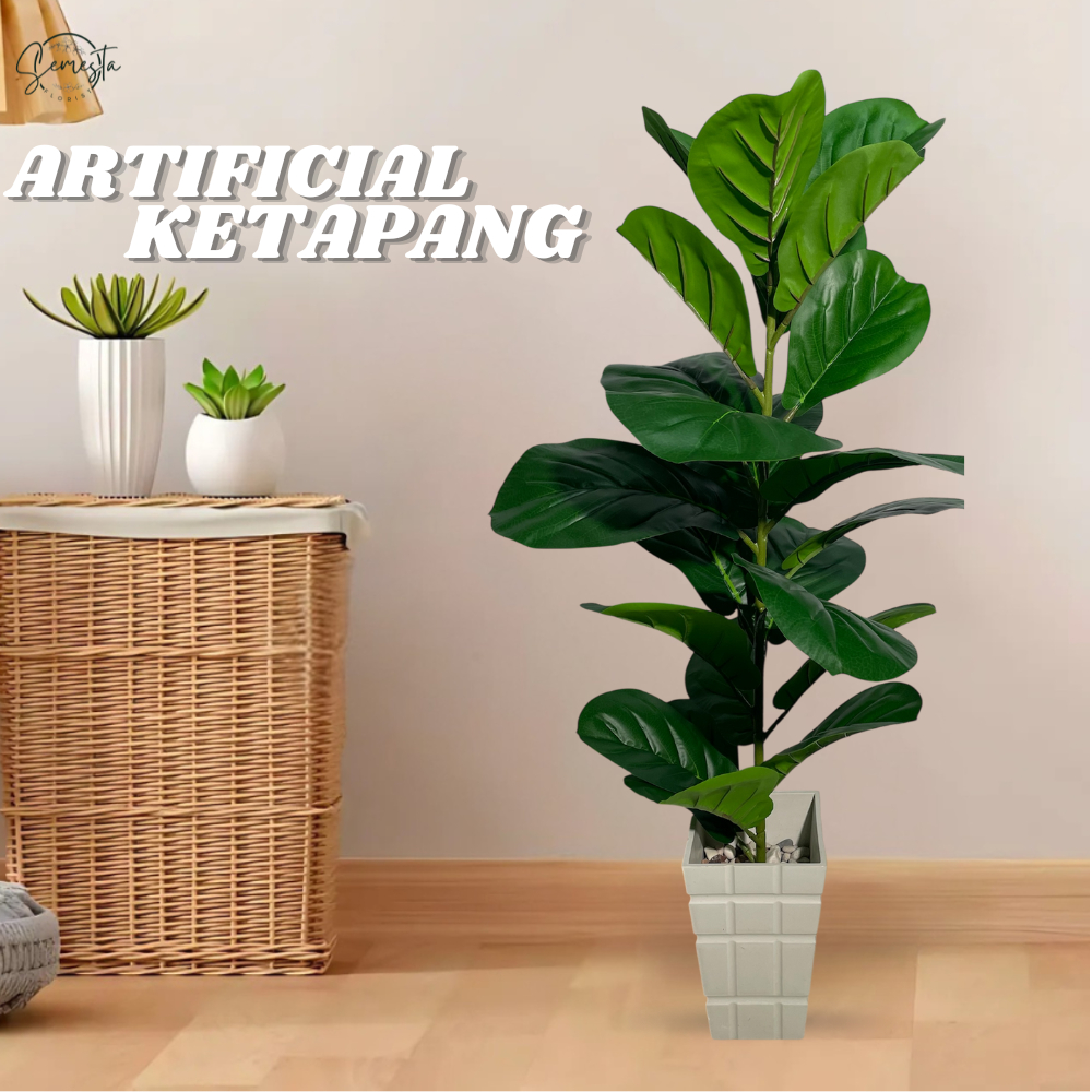 Tanaman KETAPANG Latex Pohon KETAPANG Buatan Premium Artificial Pohon KETAPANG / CZ-200-2