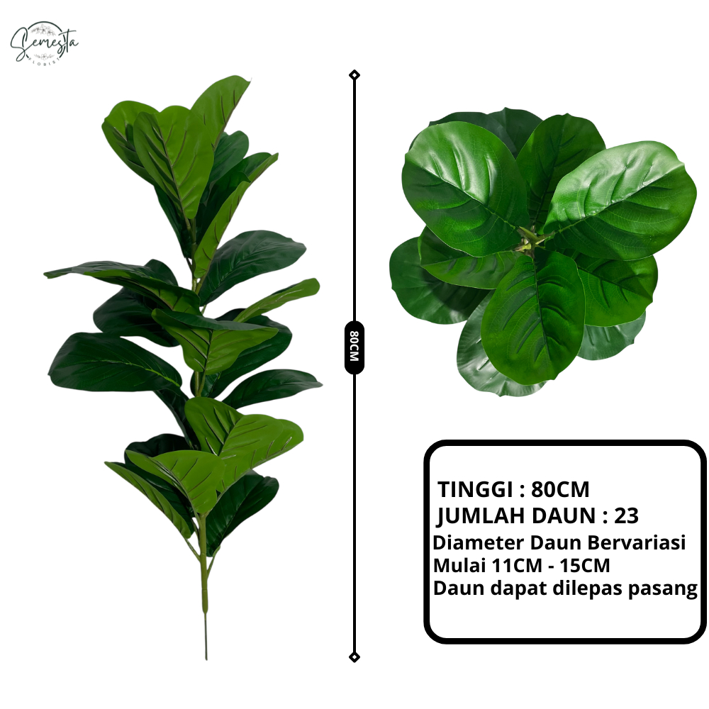 Liceriashop17 Tanaman Ketapang Latex Pohon Ketapang Buatan Premium Artificial Pohon Ketapang /