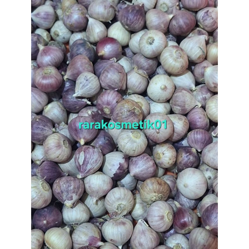 

BAWANG PUTIH TUNGGAL BAWANG LANANG 500gram